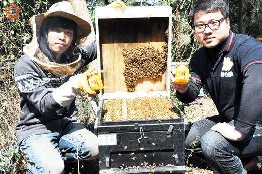   養蜂達人翁慶佑每天親手整理蜂箱，與合作伙伴王家進研發蜂巢蜜等頂級蜂蜜行銷。（李金鎗攝）
