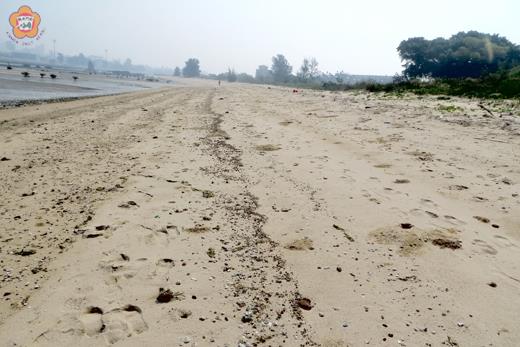 民眾反映浯江溪出海口附近海岸發現油污染，環保人員前往現場處理並取樣帶回，研判是廢食用油造成。（環保局提供）