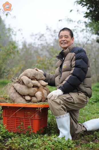 家住碧山村的農友從事農作近五十年,今年陳松濤自我突破,種出重達三十七公斤重的山藥王。(董森堡攝)