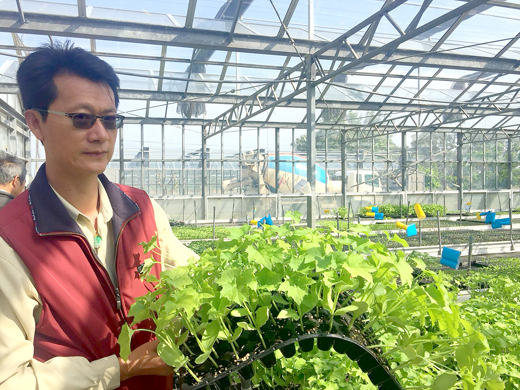 農試所所長李廣榮說明農試所近年採自動播種機育苗，成果良好。（陳麗妤攝）