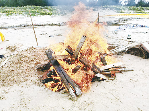 經證實檢出非洲豬瘟的海漂豬，縣防疫所在執行檢體採樣及消毒作業後，就地焚燒掩埋。（縣府提供）