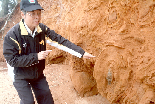 退休校長林英生積極推動成立「金門地質公園」，圖為青岐海岸玄武岩地景。（許加泰攝）