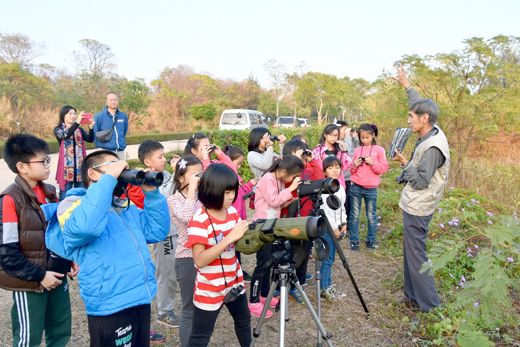 古寧國小學童在野鳥學會莊西進指導下前往慈湖實地觀察鸕鶿的生態。（李金鎗攝）