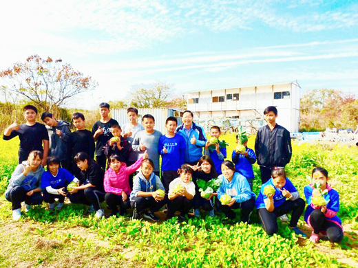 古城國小利用學校旁的空地種植蔬菜，全校動員一起採收。（古城國小提供）