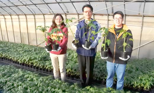 農試所推廣果樹種植,今年培育8種類之果樹苗,供有需要之鄉親登記價購。(陳麗妤攝)