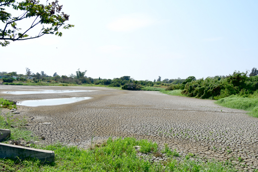 古寧頭雙鯉湖內湖乾涸。(李金鎗攝)