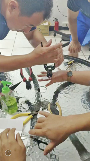 烈嶼消防分隊警消使用尖嘴小鋼剪協助婦女移除卡指的戒指。（烈嶼消防分隊提供）