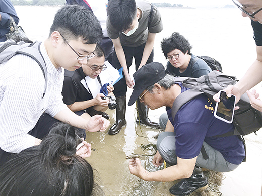 金門縣海洋教育資源中心辦理「小金門潮間帶踏查」活動，由洪清漳與黃秀婷兩位講師解說，讓參與活動的學員認識到潮間帶的多樣性生物。（金城國中提供）