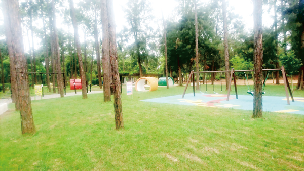 金門國家公園新設置「中山林兒童遊憩設施」採自然生態特色納入設計,於今(11)日開放使用。(李金鎗攝)