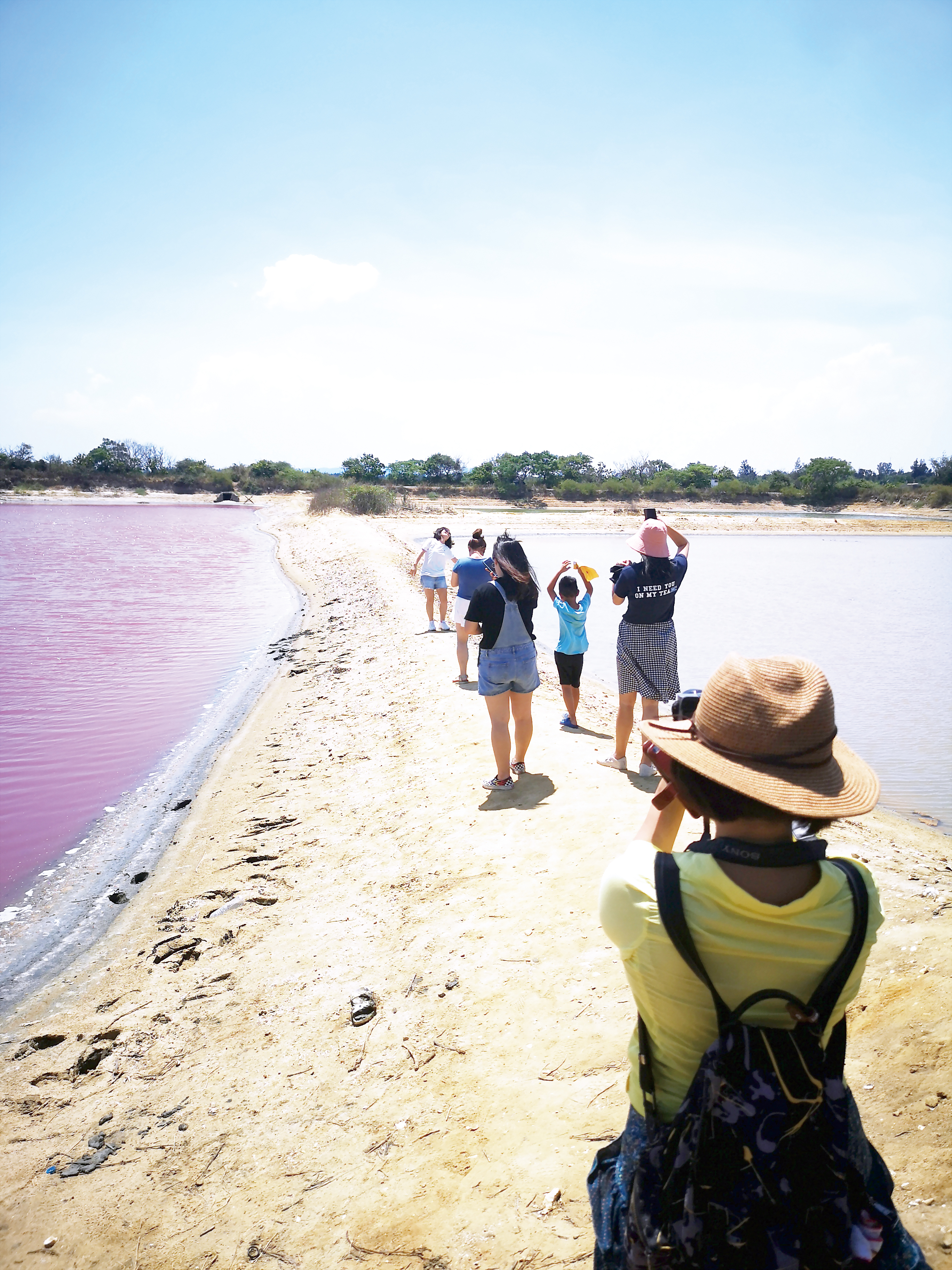 粉紅色的魚塭又成為矚目的焦點，連日來吸引許多人前往朝聖。（詹宗翰攝）
