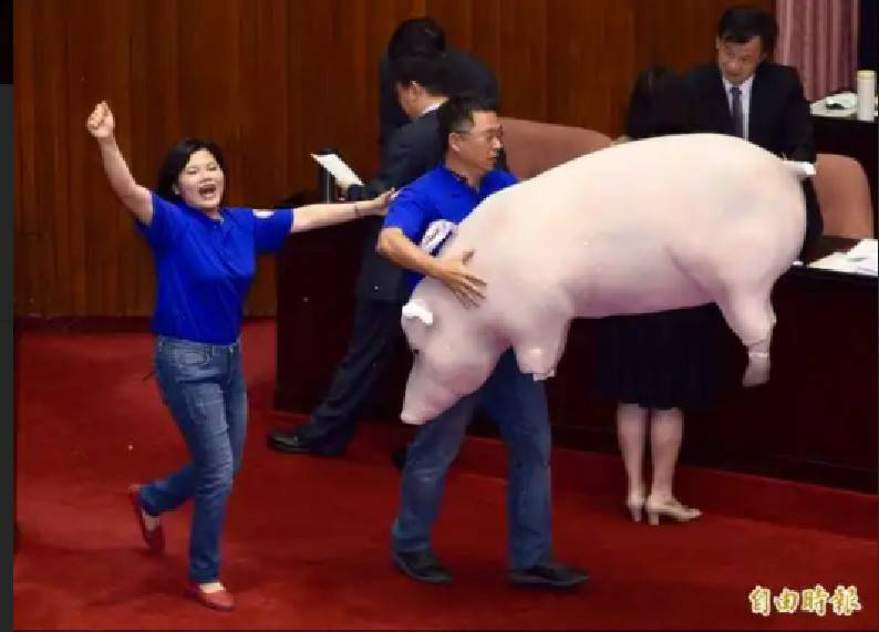 針對美豬、美牛將於明年元旦大舉攻台一事,金門縣長楊鎮浯痛批民進黨立場反覆,置國人健康於不顧。(照片由金門縣政府提供)
