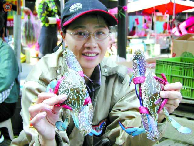 金門青腳螃蟹進入盛產期