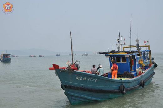   八月初到八月底，金門海巡隊處分及驅離一千二百多個越界作業的大陸漁民，沒入漁網三萬七千多公尺。（張建騰攝）