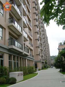   金門新村已完工驗收，正申辦建築使用執照。（縣府台北服務處主任陳永富提供）