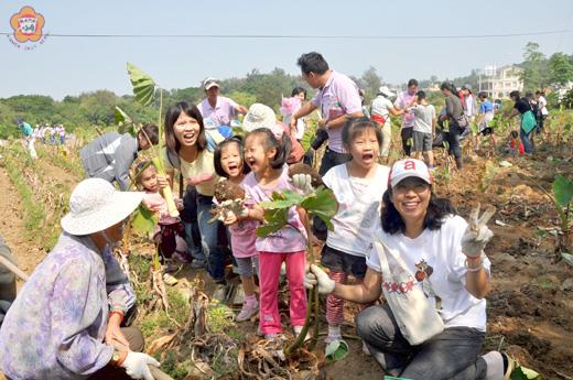   芋頭節活動主頭戲─A好康「挖！芋到你」挖芋體驗活動，民眾參與熱絡，家長體驗芋農辛勞，小朋友樂透。
（許加泰攝）
