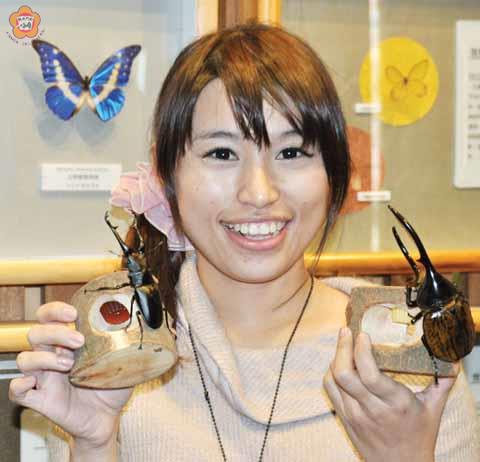   林務所農曆101年新春活動，增加一批大型甲蟲軍團入駐，林幸鈺展示長頸鹿鋸鍬形蟲、長戟大兜蟲並解說牠的特性。（陳麗妤攝）