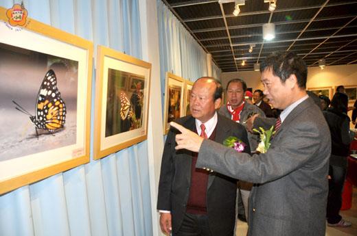   烈嶼鄉上林籍孫金星博士、張瓊敏夫婦，首度在家鄉舉辦國畫、蝴蝶攝影聯展，孫金星和鄉長洪成發等人分享追蝶的攝影過程。（許加泰攝）