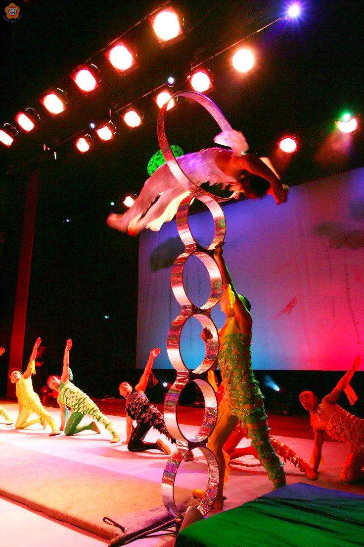   浙江曲藝雜技總團大陸著名省級文藝團體，團員藝高人膽大，演出魚躍龍門及青花瓷的精彩雜技，精采可期。
（金門文化局提供）