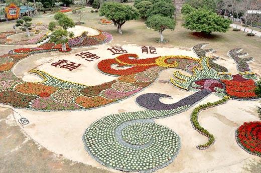 森林園區更打造應景花海遊龍花卉景觀，適合闔家合影，共賞金門生態之美。（陳麗妤攝）