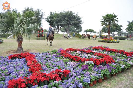   金門縣養護工程所精心設計金城海濱公園花卉造景，以優美的景致提供鄉親一個過年休閒的好去處。（莊煥寧攝）