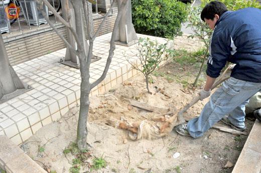 公德心何在﹖
楊水詠／圖文